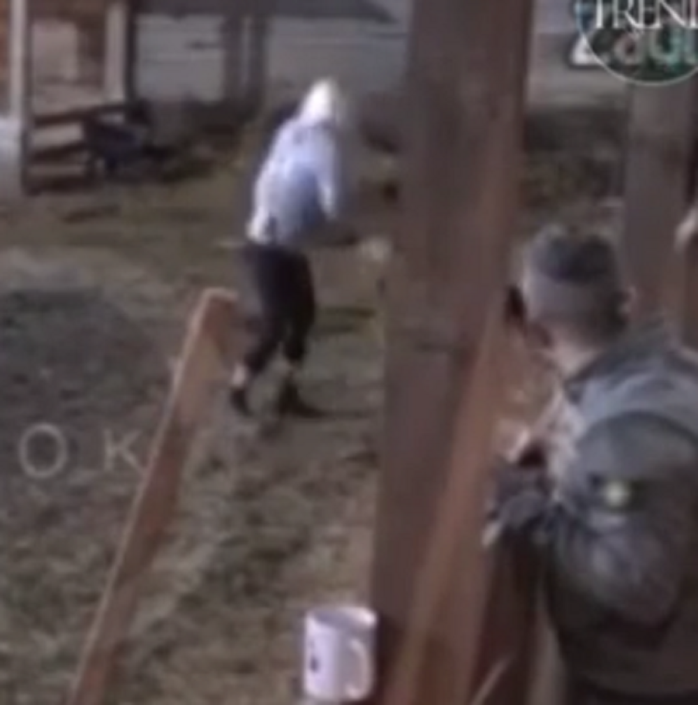 Zadrugarka motkom krvoločno istukla psa, životinja urliče od bola! (VIDEO)