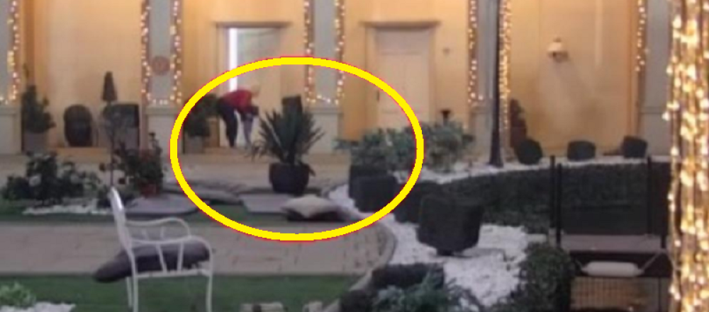 Usred akcije Miljane i Zole, mali Željko uleteo u izolaciju! Ona u nezgodnoj pozi, nije znala šta ju je snašlo!