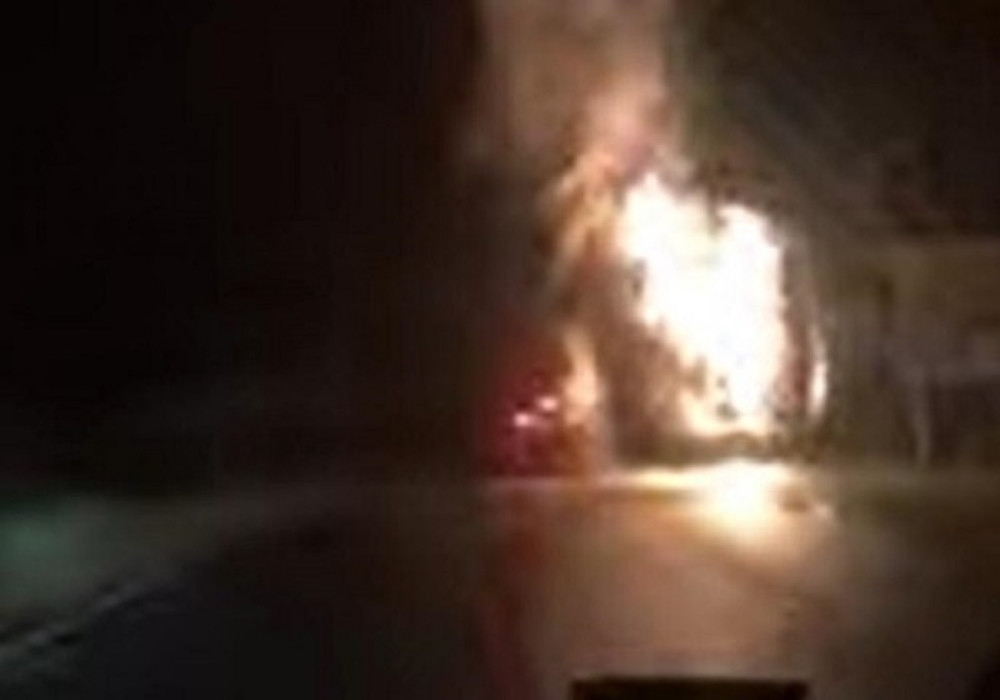 Ljudi pretrčavaju cestu da spasu žive glave! Drama na Fruškoj gori! (FOTO)