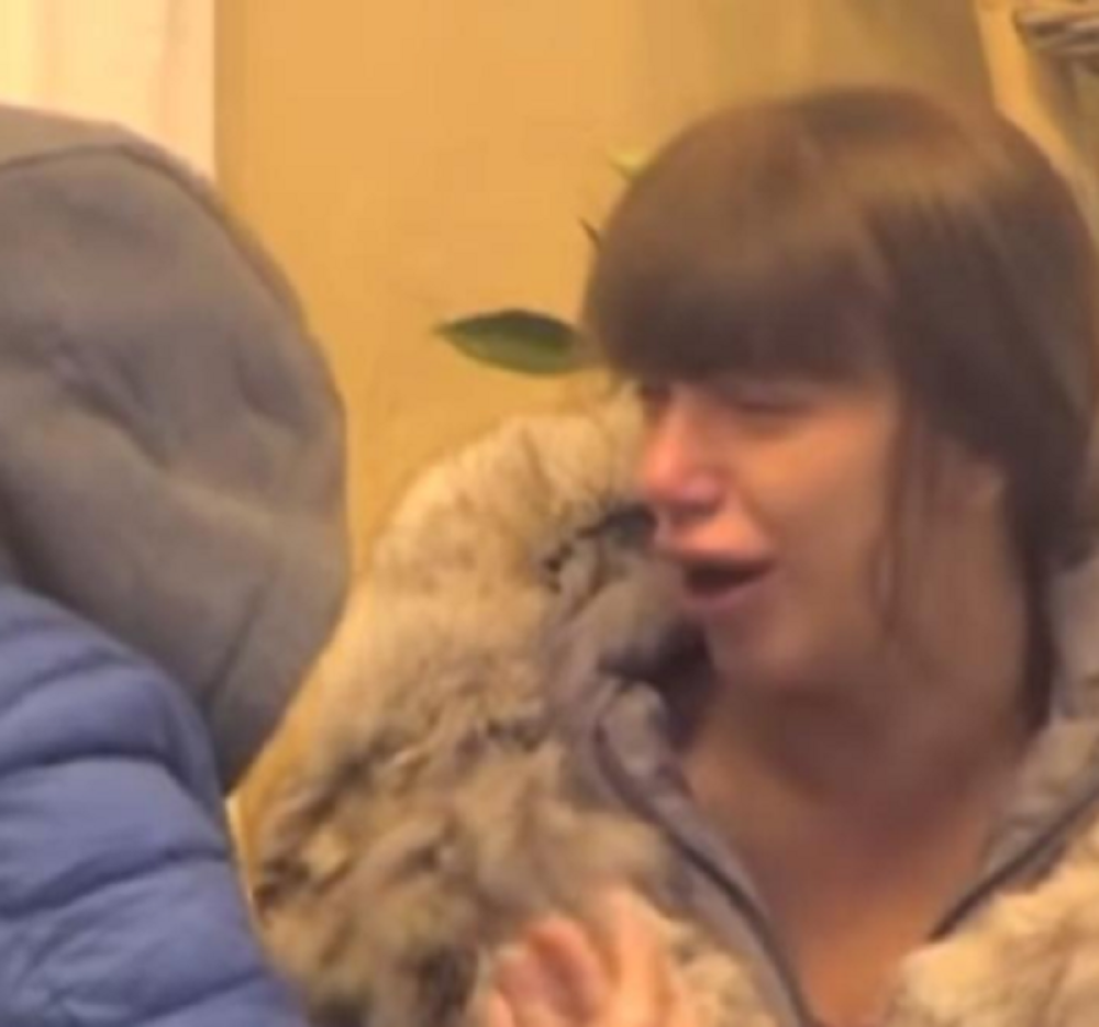 Miljana Kulić ponovo krvari u Zadruzi! Preklinje da ide kod lekara!