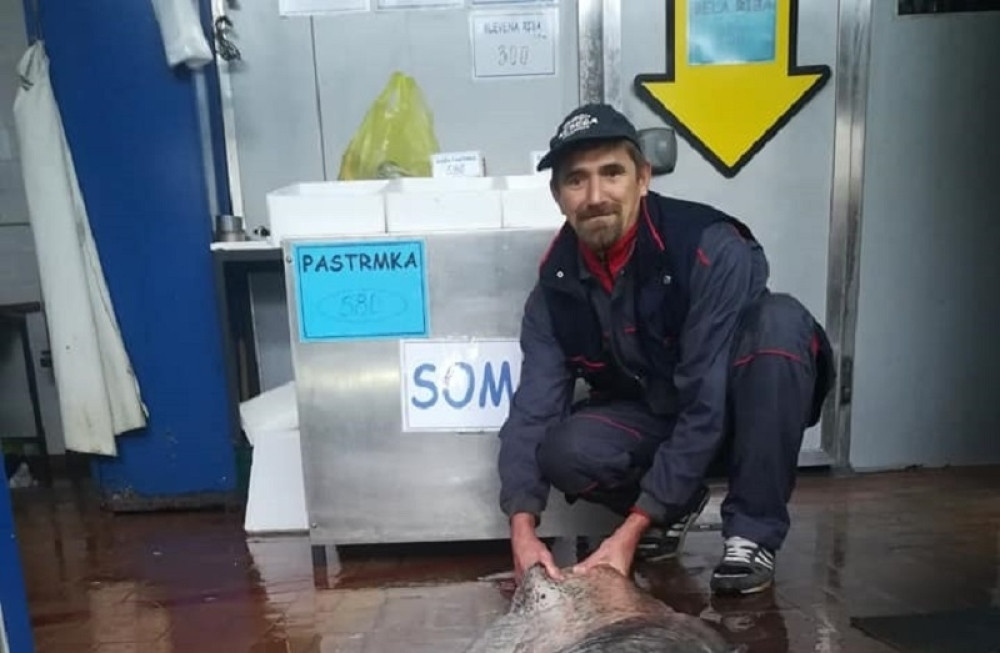 Neman koja je sve ostavila bez reči! Ova slatkovodna riba dostigla neverovatne razmere! (FOTO)