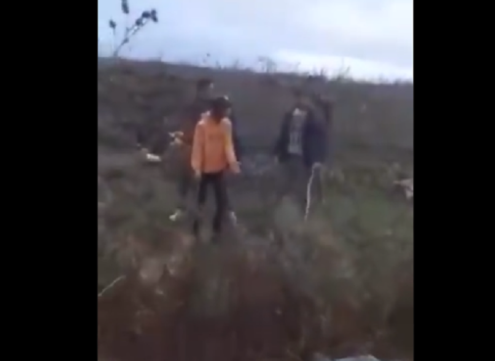 Ovi monstrumi uživaju u divljoj borbi pasa u Bujanovcu! (VIDEO)