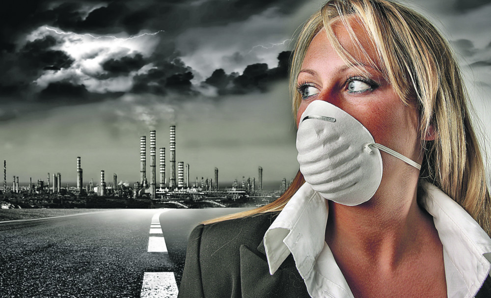 Ove biljke će vam obezbediti čist vazduh, a možete da ih držite u spavaćoj sobi!