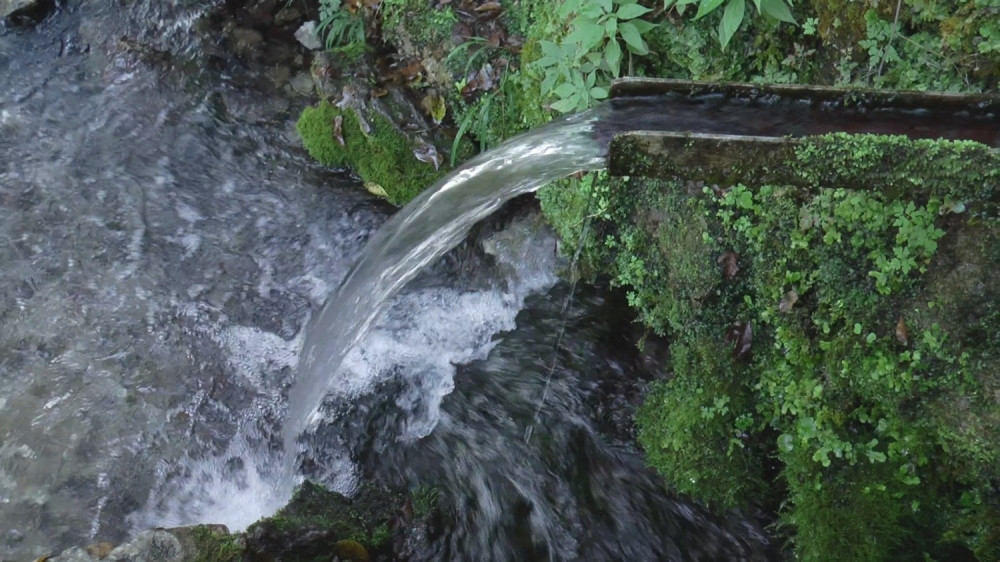 U vodi pronalaze partnere