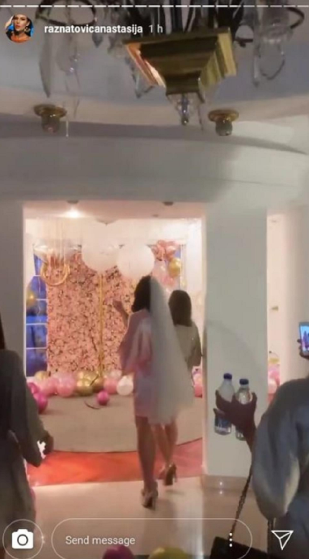 Prve fotografije sa proslave devojačke večeri Cecine snajke! Ovako izgleda vila okićena od poda do plafona! (FOTO)