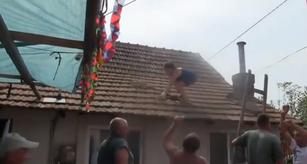 Kuma čim je čula trubače, napravila haos! Leteli crepovi sa krova (VIDEO)