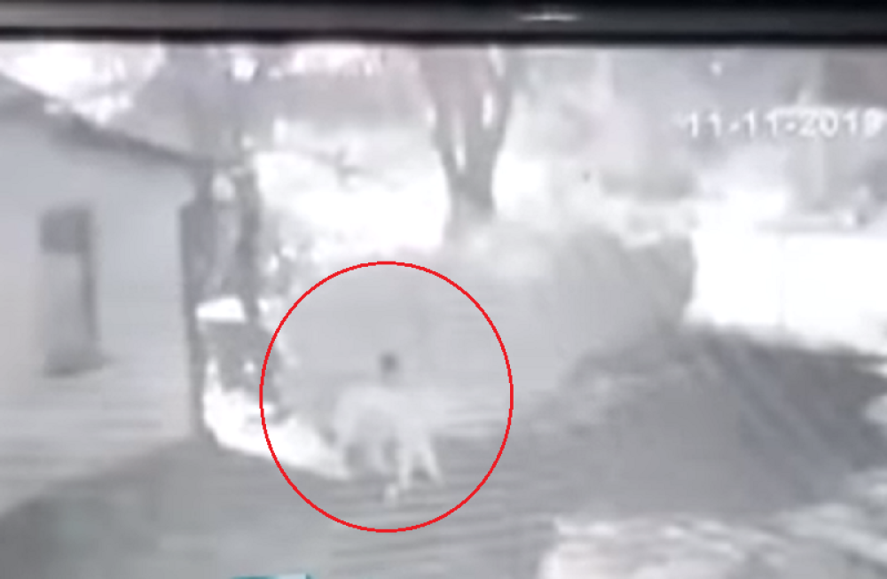 Migrant iz Maroka osuđen za krađu novca iz vozila