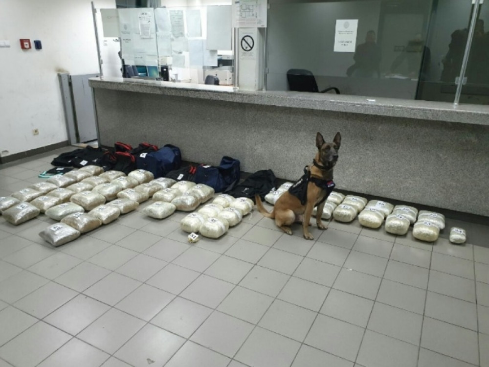 Zbog Nerona je njihov opasan posao lakši!  Sprski pas nanjušio je nešto u autobusu sa kosovskim tablicama!