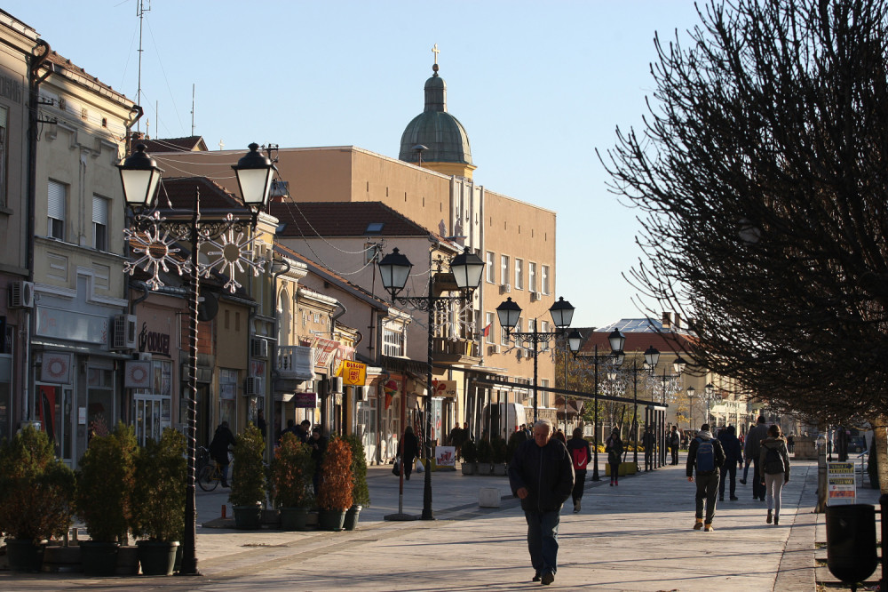 Pojavila se svinjska kuga, održan sastanak Štaba za vanredne situacije! Krug od 3 kilometara pod specijalnim merama