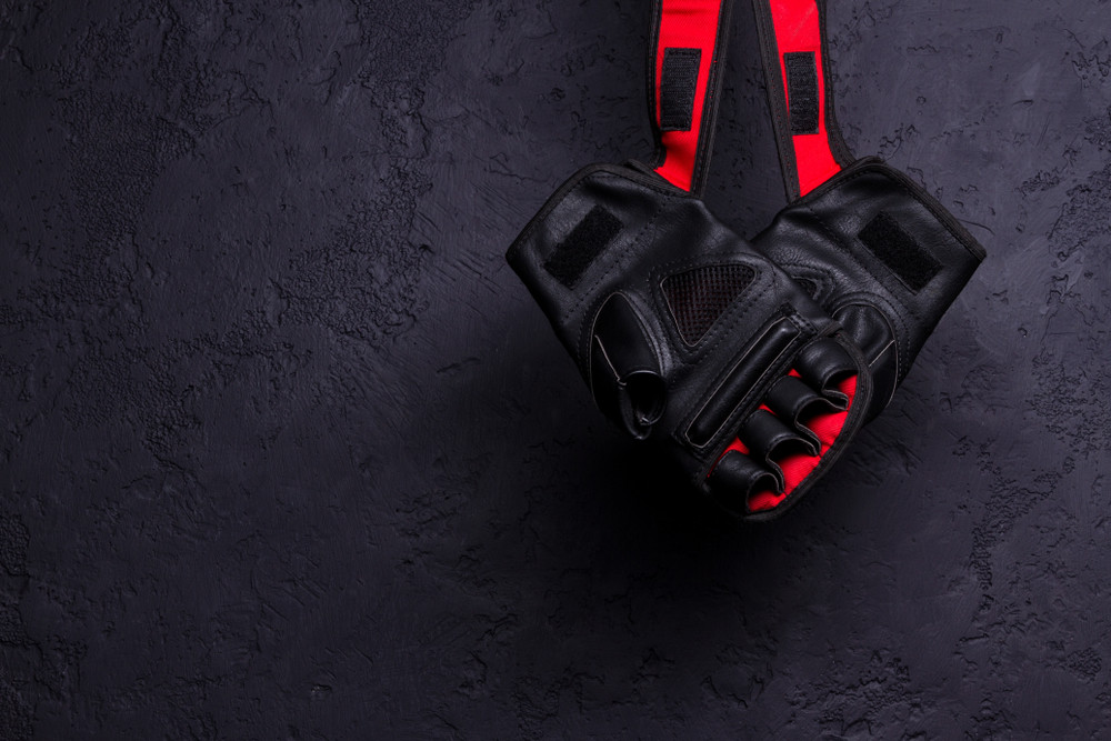 Bokserski savez Austrije isključio doživotno trojicu boksera