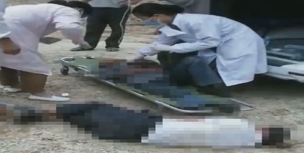 Vraćali se sa sahrane, a onda su izleteli smrtonosni insekti! Troje umrlo na licu mesta, povređene ukočene nosili u bolnicu! (VIDEO)