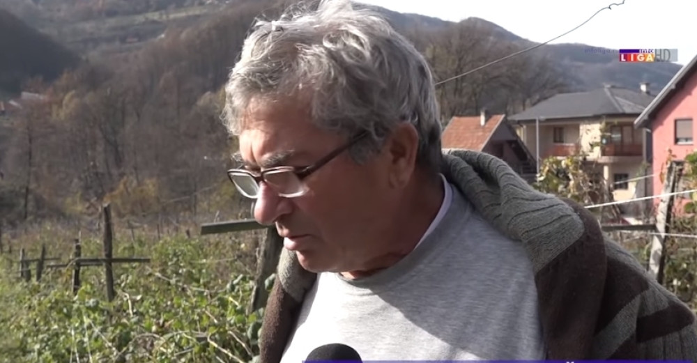 Domaćin Toma jutros ustao i na njivi ugledao CRVENO ZLATO! Nije jedini, i drugi meštani ne veruju šta ih je snašlo (FOTO)