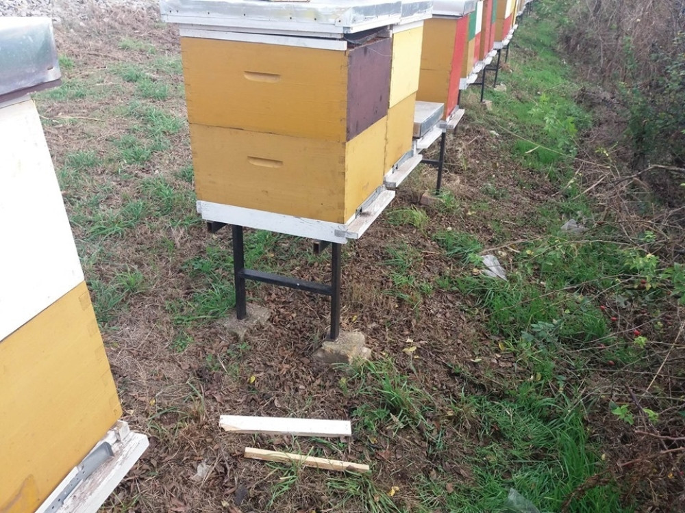 Nesvakidašnji slučaj u Kikindi! Preko noći sve nestalo