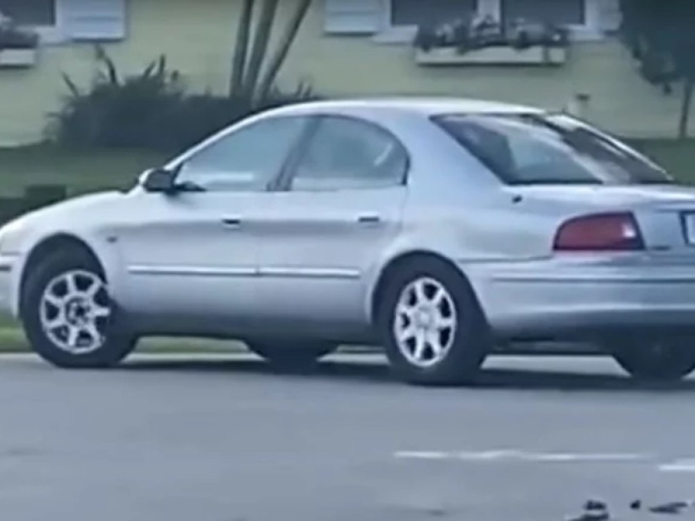 "On je bolji vozač od mnogih" Komšijski pas seo u automobil i uradio nešto što je mnoge ostavilo bez teksta!