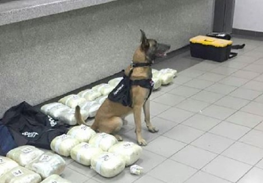 Najveći dušmanin kriminalaca! Kod njega ništa ne prolazi! On sve vidi!