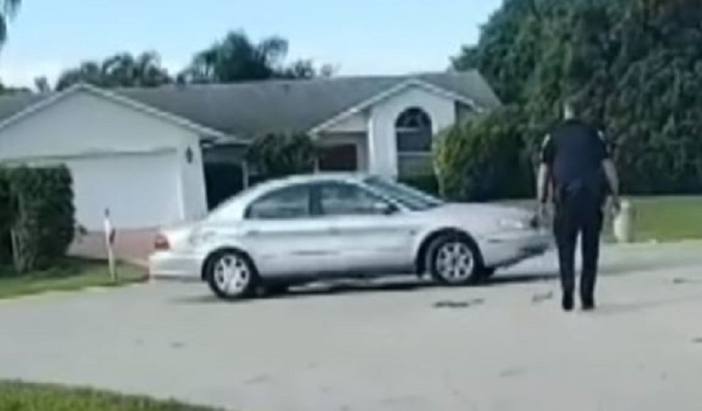 Vlasnik ostavio upaljen automobil, a neobičan vozač je preuzeo volan! (VIDEO)