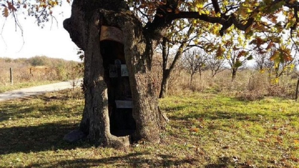 Munje mu ne mogu ama baš ništa, a meštani su od njega napravili sveto mesto! (FOTO)