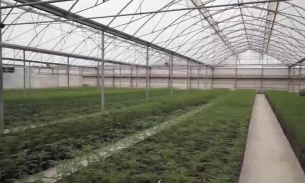 Policija upala u laboratoriju kod Stare Pazove! (FOTO SA LICA MESTA)