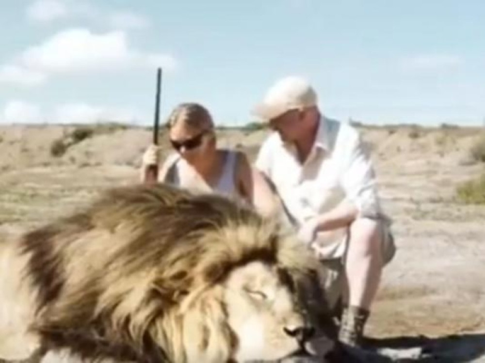 Napravili kobnu grešku! Šta se dešava kada lovac postane plen? (VIDEO)