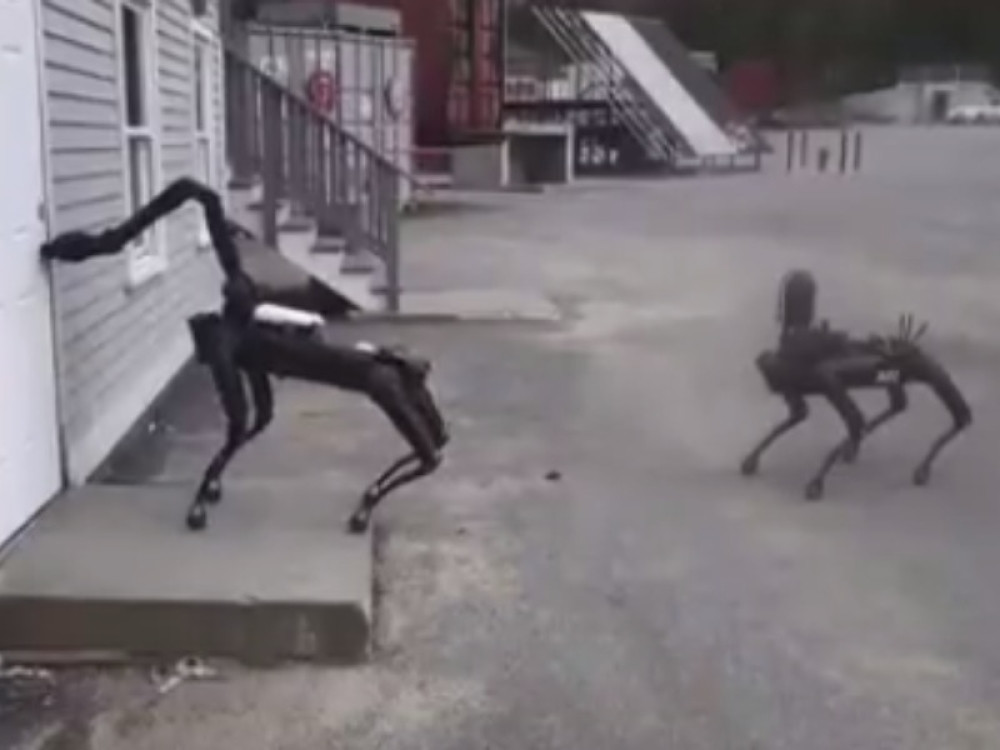 Pomalo zastrašujuć prizor! Policijski pas-robot može sve ono što može i čovek, čak i da puca! (VIDEO)