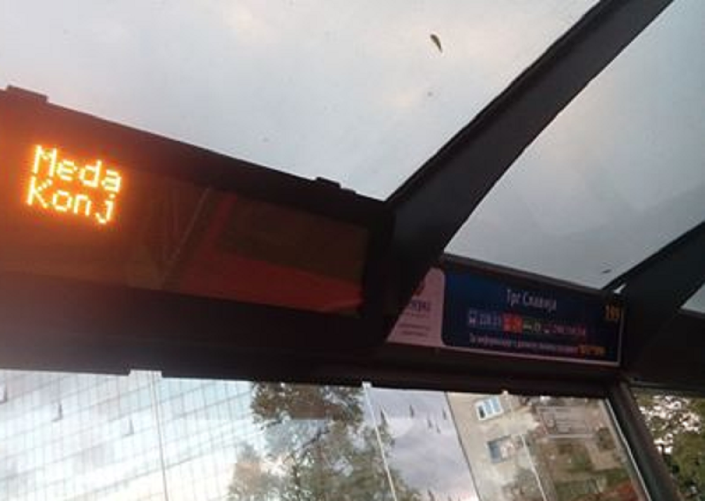 Na stanici u centru Beogradu čekate autobuse koji vas voze do mede i konja, a bus 56 do geparda! (FOTO)