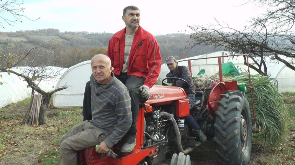 Zbog Miholjskog leta stigli mobaši. Kakav prizor na njivi! (FOTO)