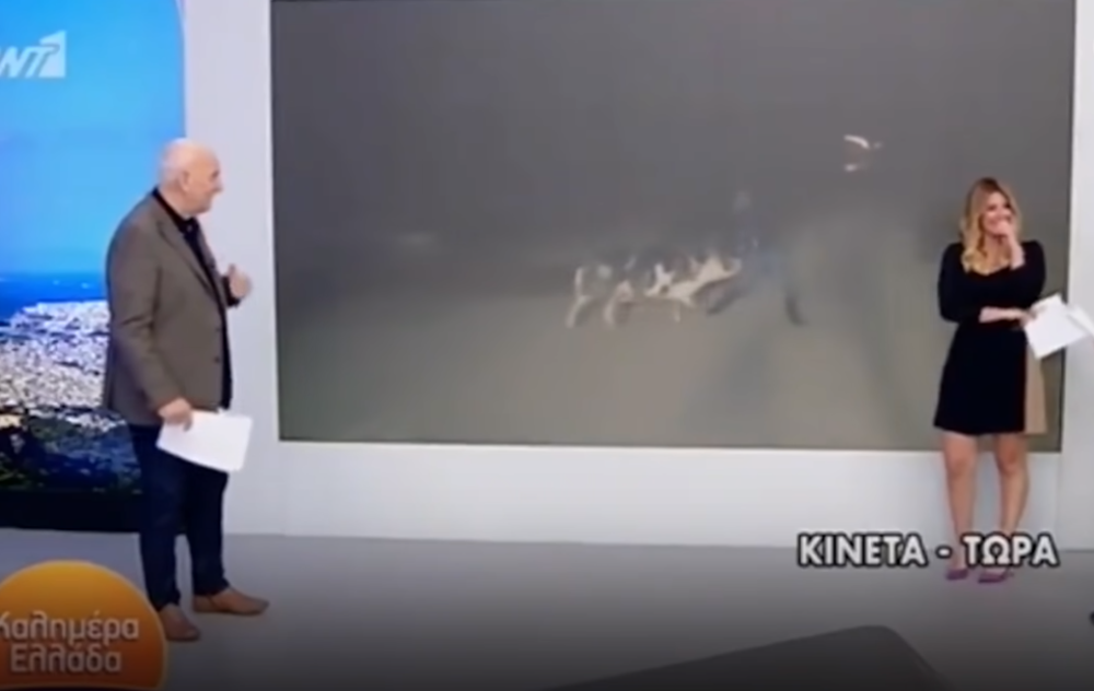 Krmača jurila voditelja Lazu, a nije smeo da stane zbog jedne stvari! (VIDEO)