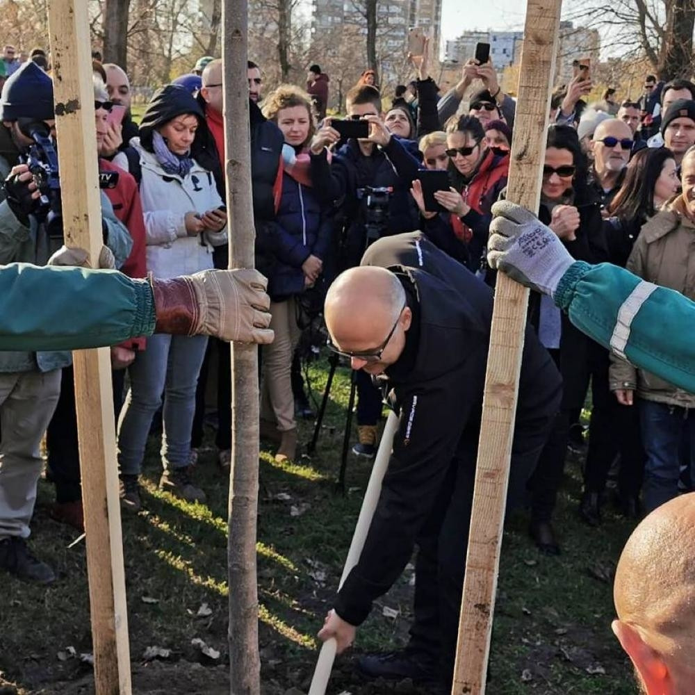 Vučević: Pošumljavaćemo narednih meseci da grad učinimo zelenijim