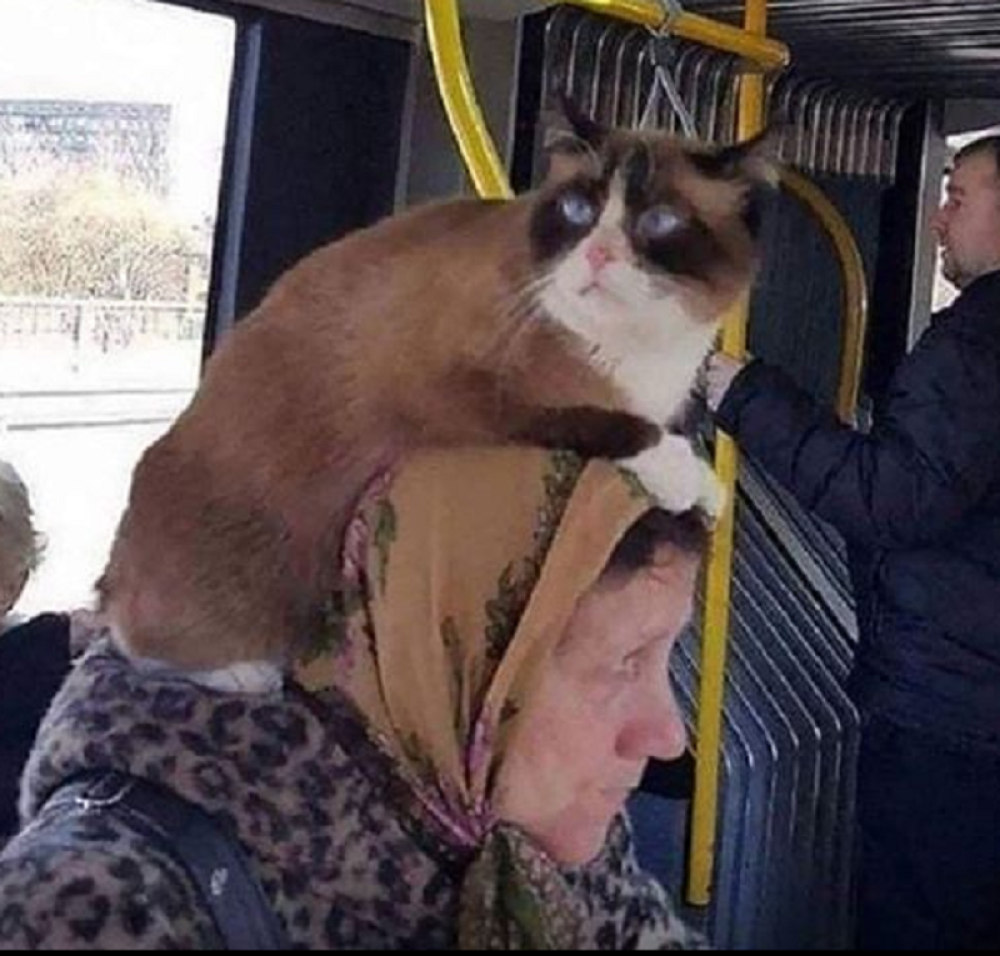 U beogradskom autobusu je sve moguće! (FOTO)