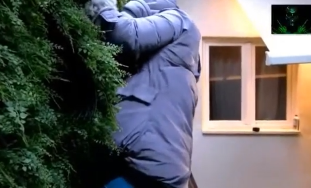 Miljana Kulić pokušala da pobegne iz Zadruge: Jedna stvar je zgrozila gledaoce (VIDEO)