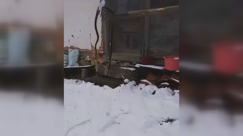 Domaćin Miloje preplašen prizorom ispred kuće! Zloslutna prilika se ukazala u snegu u selu Kaona! (FOTO)