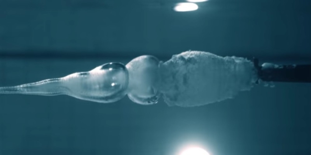 Precizan i snažan! Prvi metak koji pod vodom može da ubije u trenutku!