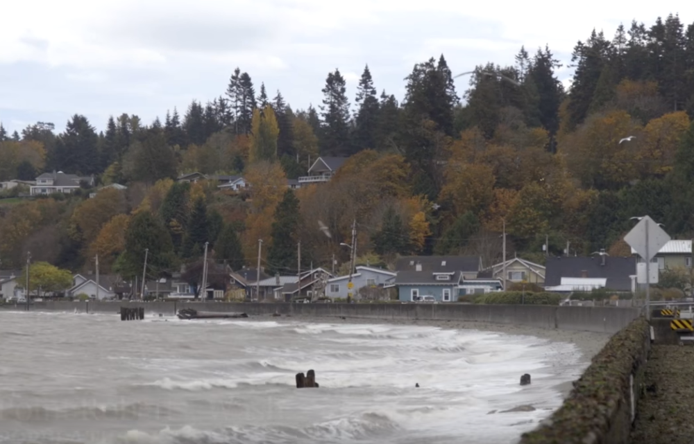 Koga juri mafija, najbolje je da pobegne tamo (VIDEO)