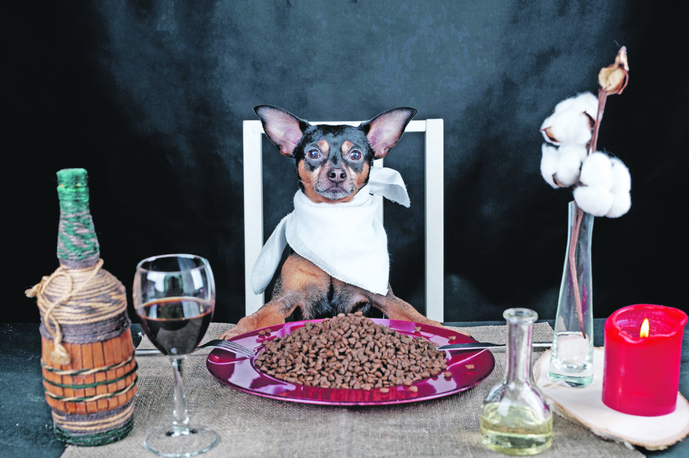 Namirnice koje mogu naškoditi zdravlju vaših kućnih ljubimaca