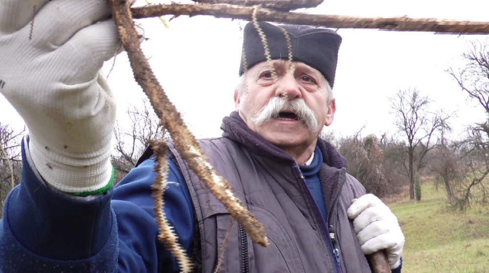 Travar Mirko Milinković otkriva zašto je napnikur biljka koju obožavaju muškarci: Skočko rešava savremene muke