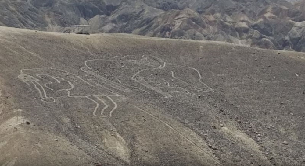 Urezane su u pustinji, a njihova svrha ima veze sa drugim životima (VIDEO)