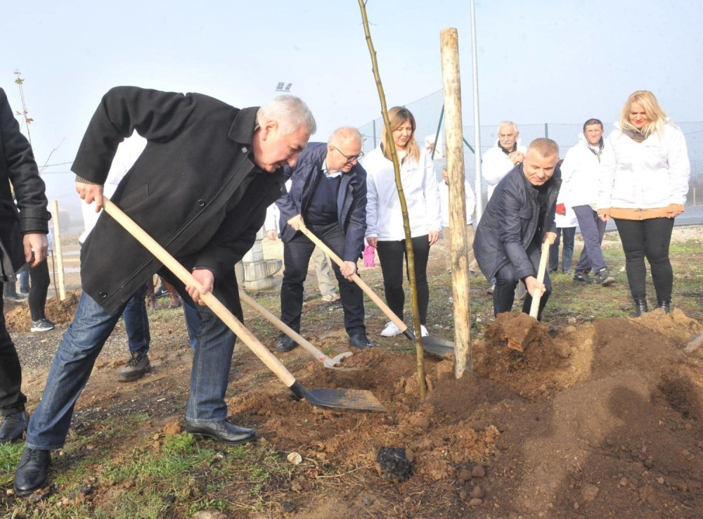 Vesić i Miličković sadili platane na Sunčanom bregu