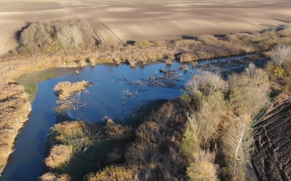 Situacija na jezeru nadomak Sombora je krajnje zabrinjavajuća