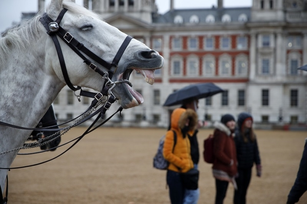 Dok cela zemlja srlja u kolaps zdravstva jedna persona van sebe od SREĆE