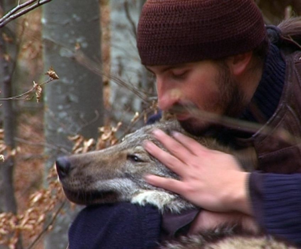 Kada su ih razdvojili, o monahu i vučici pričala je cela Srbija! Ona je odvedena na salaš, a evo kako je sad (FOTO)