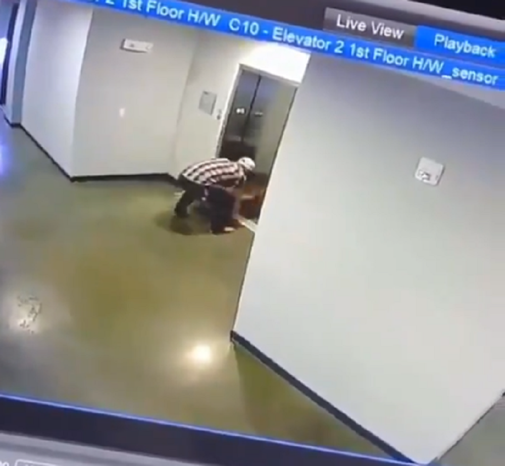 Psa su sekunde delile od smrti, a onda se pojavio ovaj brižni heroj (VIDEO)