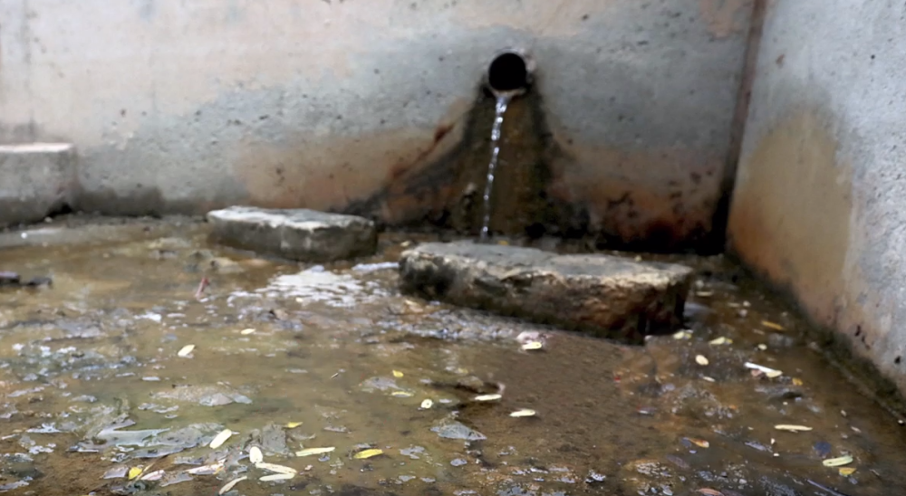 Narod vekovima odlazi na redak izvor u Sremu, a o njemu kruži jedna poznata priča