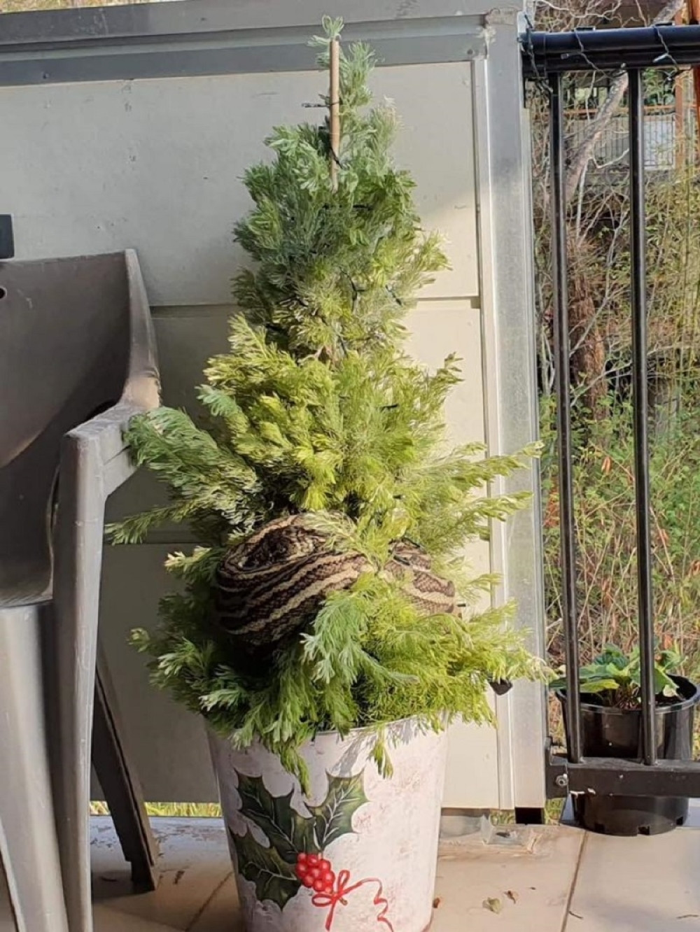 Pobacali novogodišnje jelke da ne bi "slavili srpski Božić"