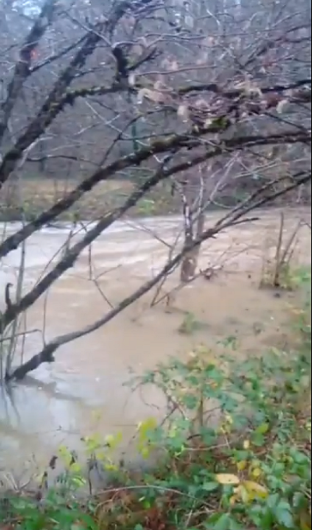 Ima mrtvih, Hitna skuplja povređene! Poplava besni, nosi sve pred sobom (VIDEO SA LICA MESTA)