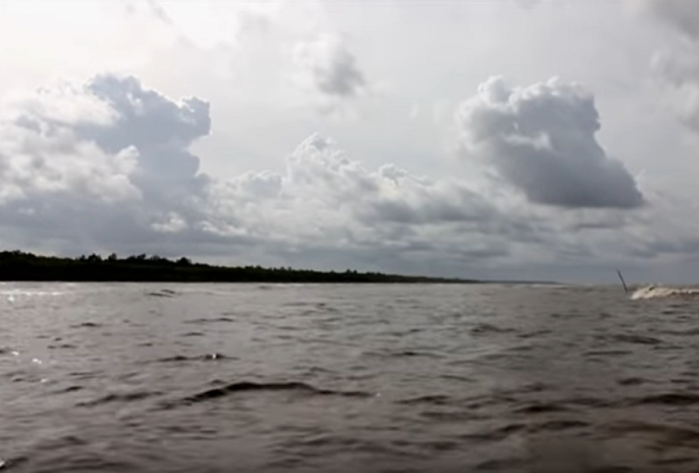 Nesrećni Rokfeler preplivao 12 km okeana, stigao do obale, a onda su ga živog rasčerečili (VIDEO)