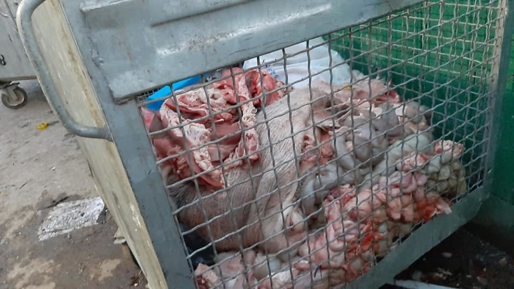 Radnici Javno komunalnog preduzeća poslali fotografije sadržaja koji su pronašli u kontejneru (UZNEMIRUJUĆE)