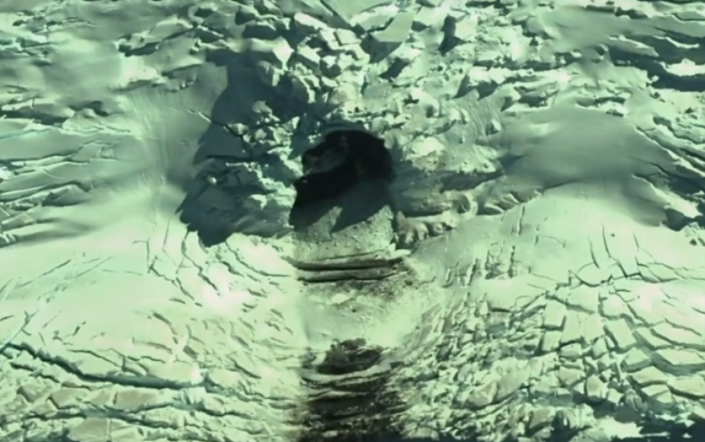 Na snimcima se može videti do čega su to došli (VIDEO)