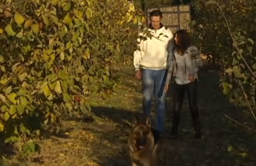 Programeri razvili nov biznis i razbijaju se od para (FOTO)