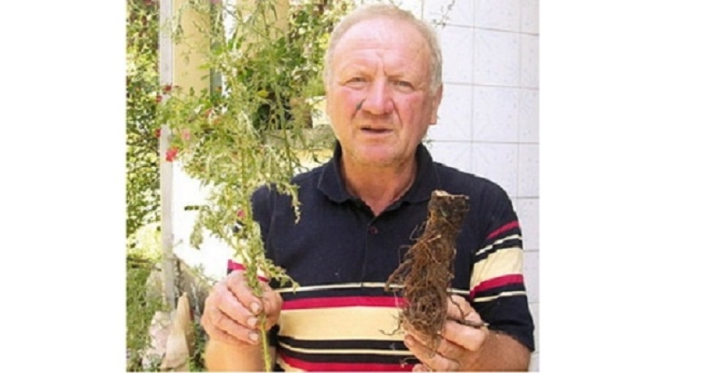 Držite je tačno na određenom mestu i novca vam neće faliti (FOTO)