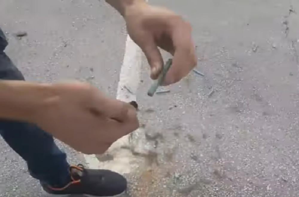 Povrede su stravične, a ishod može biti i smrt! Koga uhvate da se "igra" s njima, kazna od 50.000 do 100.000